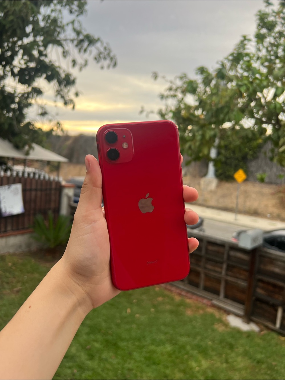 Apple (Red) iPhone 11 with 64 GB